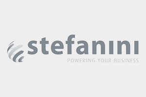 Stefanini - logo